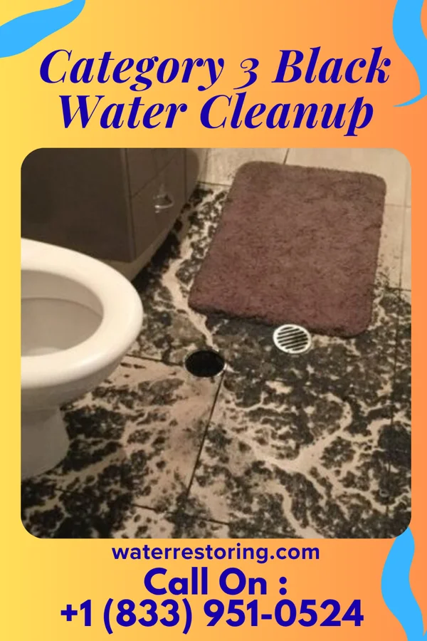 Category 3 Black Water Cleanup in Cornwall-on-Hudson, NY