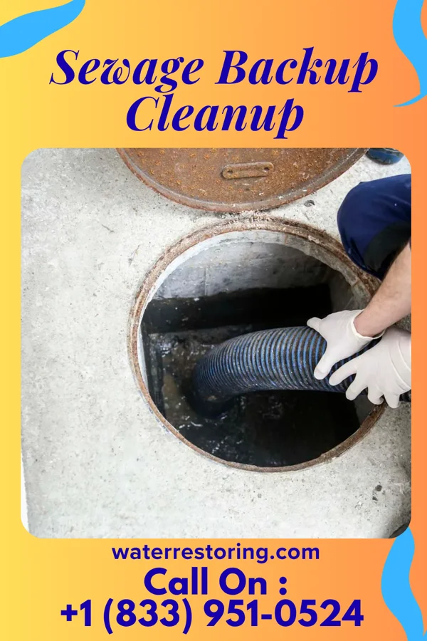 Sewage Backup Cleanup in Cornwall-on-Hudson, NY