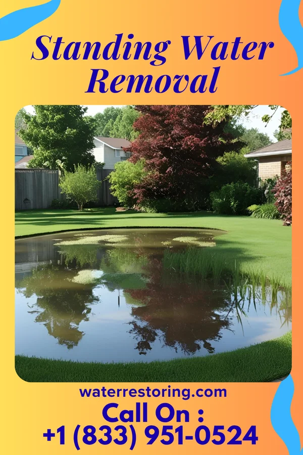Standing Water Removal in Cornwall-on-Hudson, NY